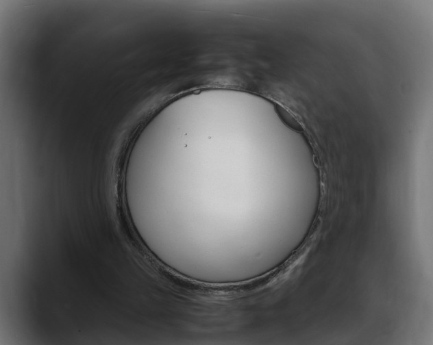 X0000088640149200705250926