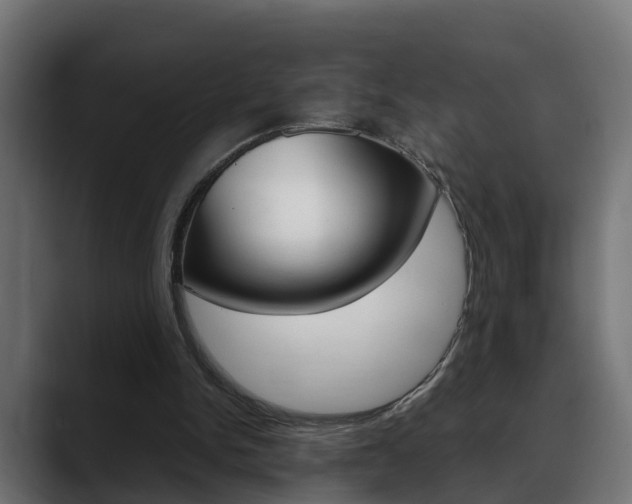 X0000088640150200705250926