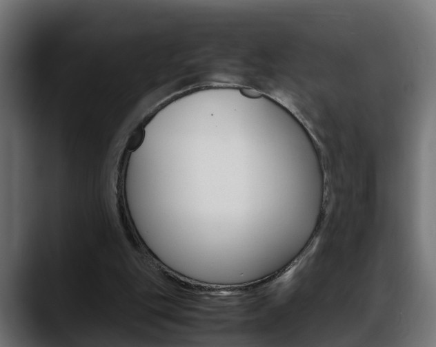 X0000088640151200705250926