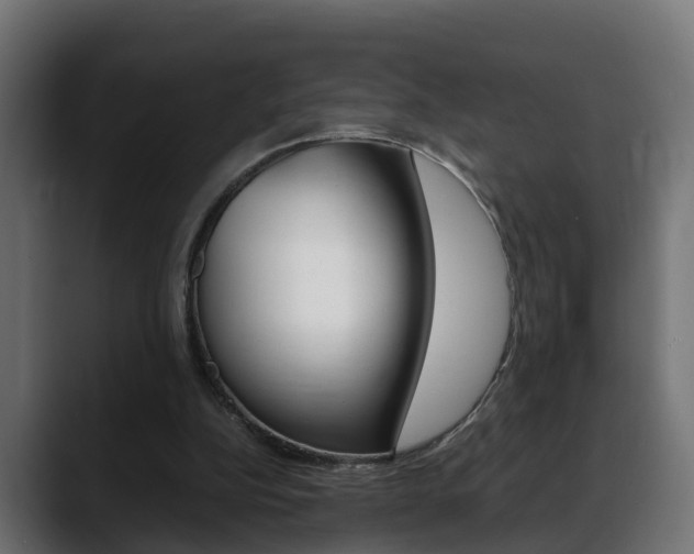 X0000088640152200705250926