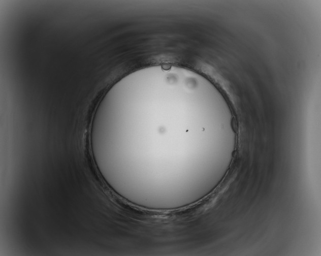 X0000088640153200705250926