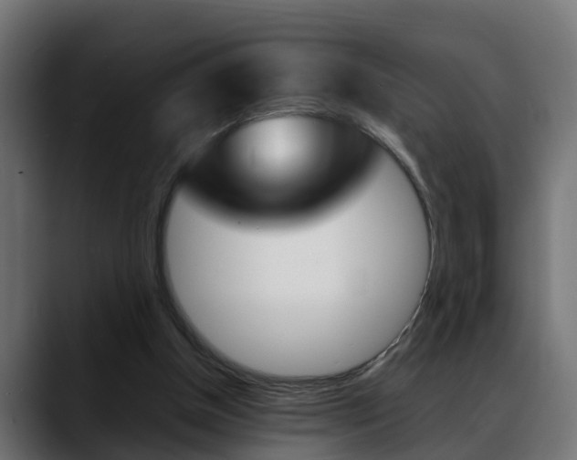 X0000088640154200705250926