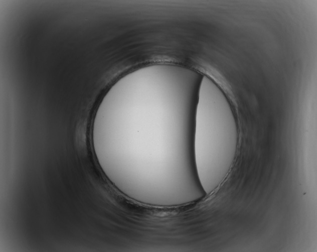 X0000088640155200705250926