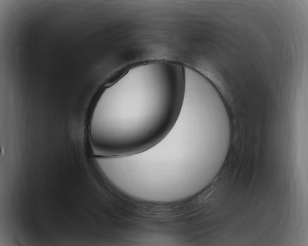 X0000088640156200705250926