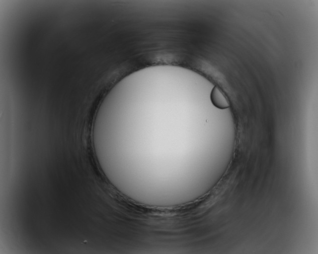 X0000088640161200705250926