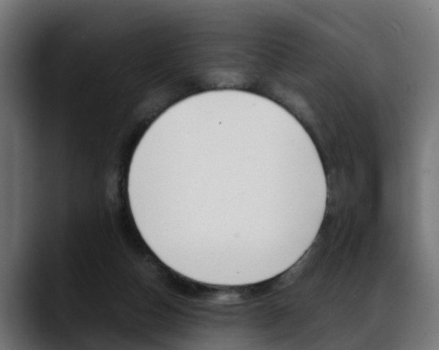 X0000088640162200705250926