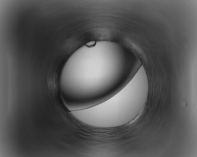 X0000088640170200705250926