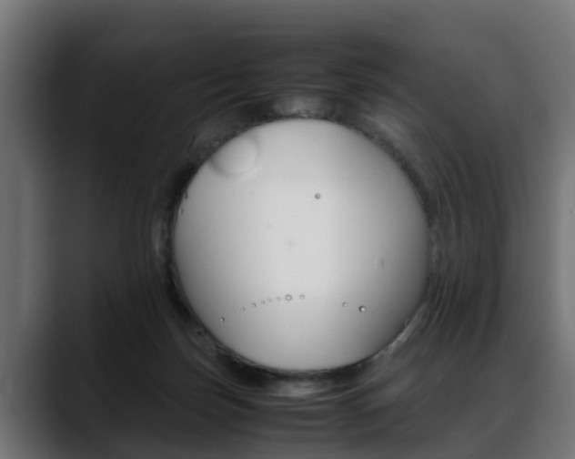X0000088640171200705250926