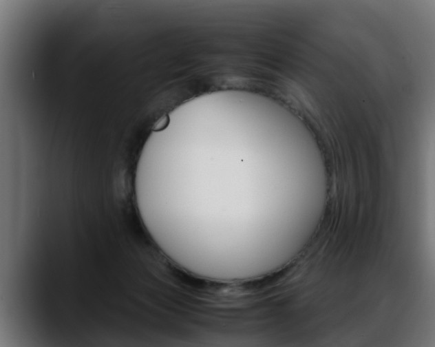 X0000088640173200705250926