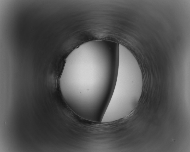 X0000088640180200705250926