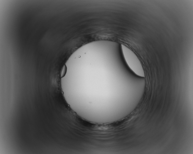 X0000088640181200705250926