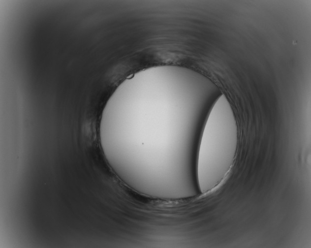 X0000088640182200705250926