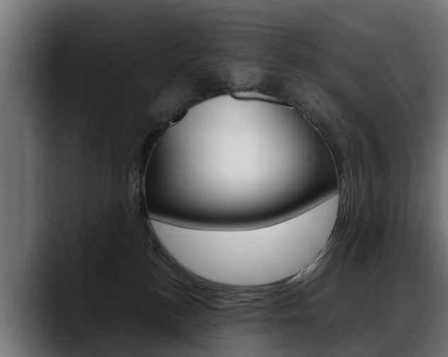 X0000088640184200705250926