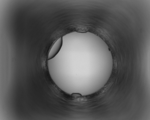 X0000088640185200705250926