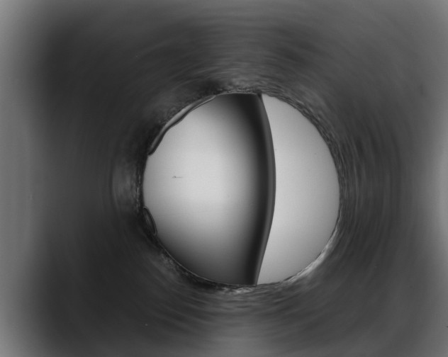 X0000088640186200705250926