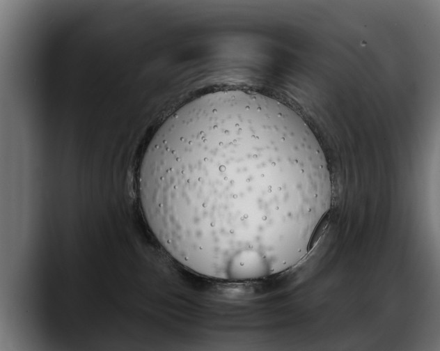 X0000088640187200705250926