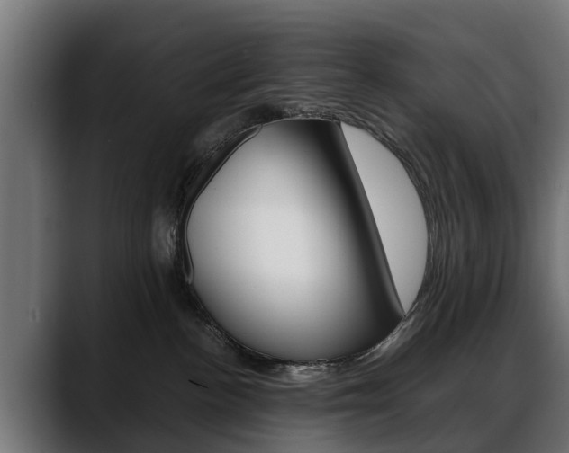 X0000088640188200705250926