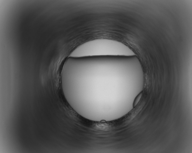 X0000088640189200705250926
