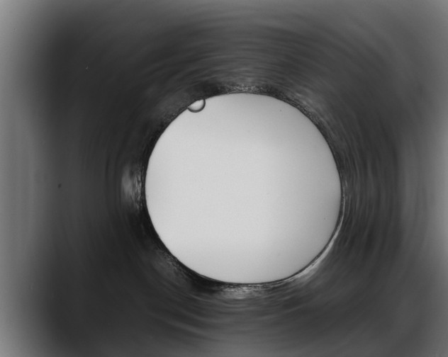 X0000088640190200705250926