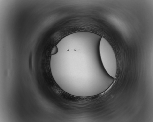 X0000088640191200705250926