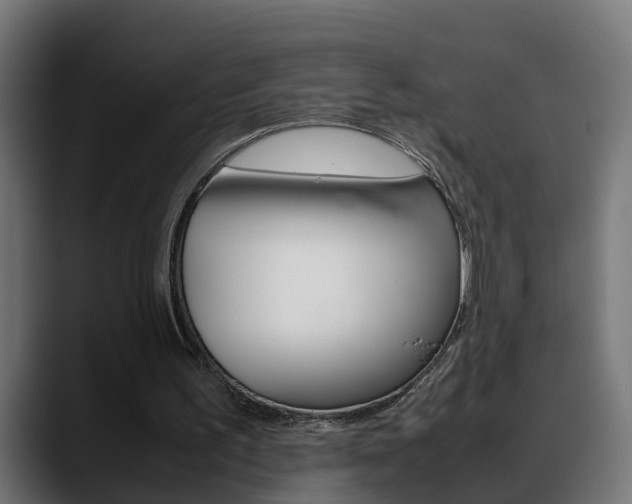 X0000088640195200705250926