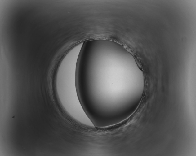 X0000088640197200705250926