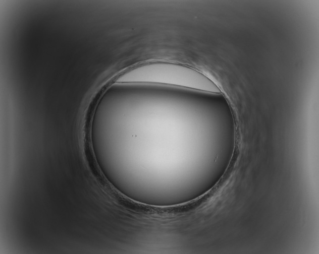 X0000088640199200705250926
