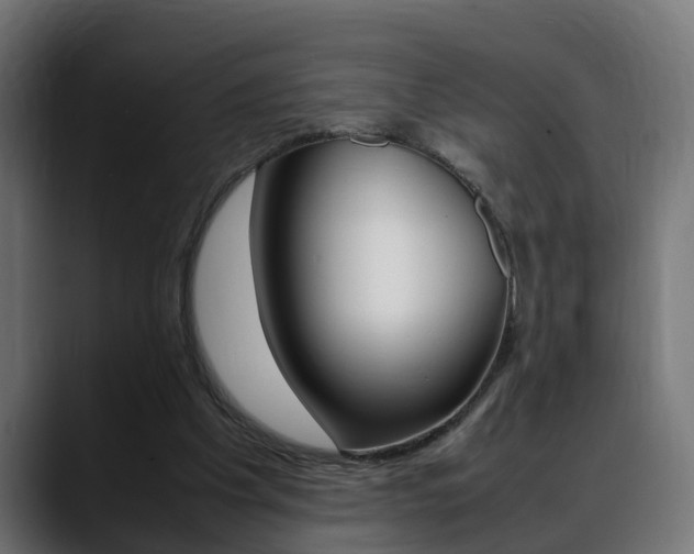 X0000088640201200705250925