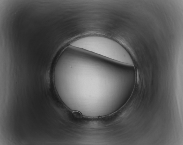 X0000088640204200705250925