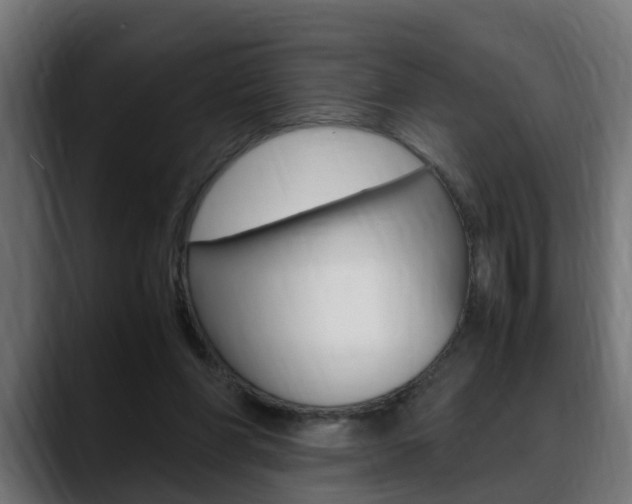 X0000088640206200705250925