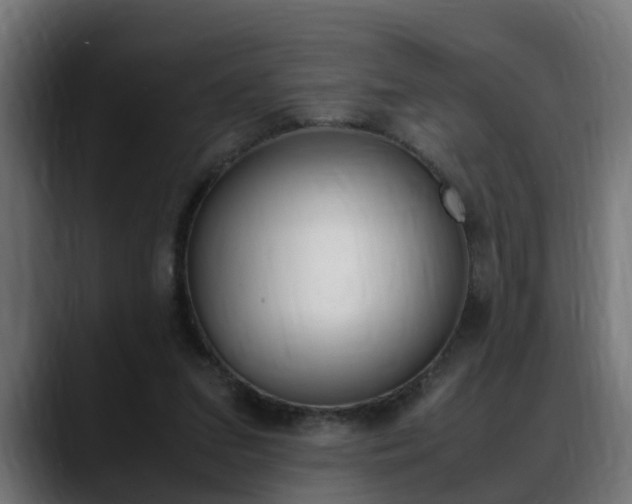 X0000088640207200705250925