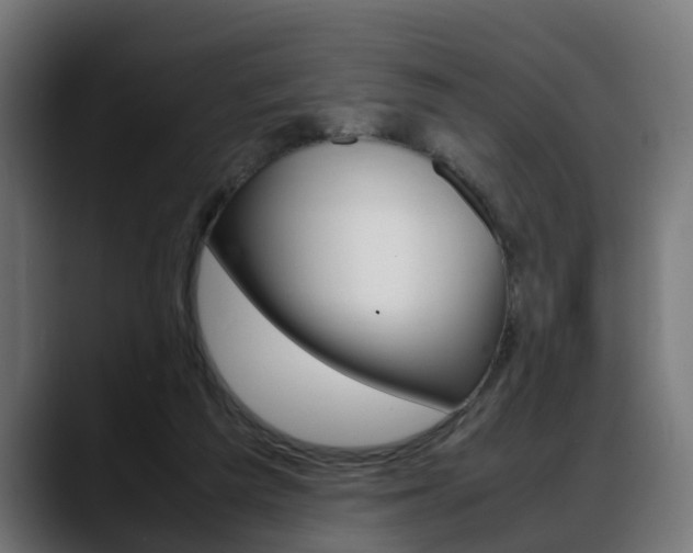 X0000088640209200705250925