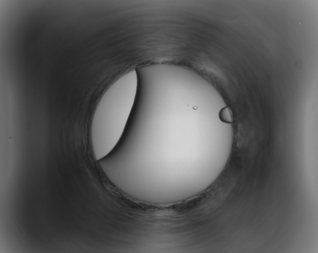 X0000088640210200705250925