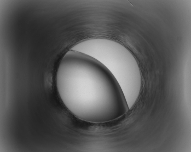 X0000088640211200705250925