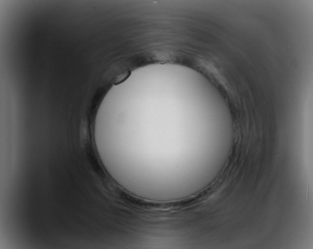 X0000088640213200705250925