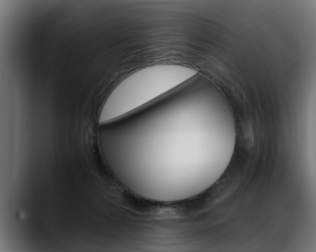 X0000088640224200705250925