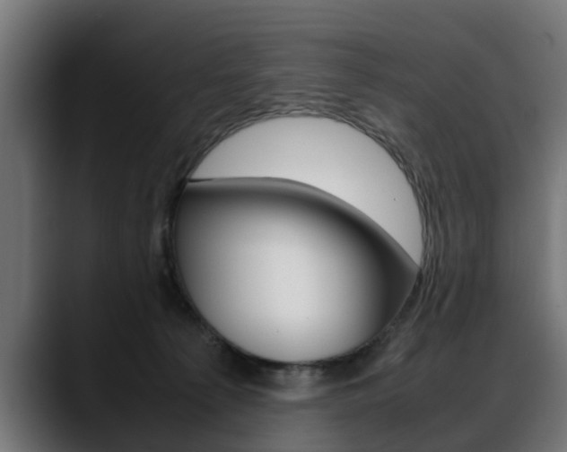 X0000088640225200705250925