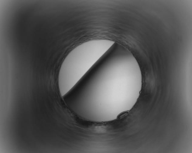 X0000088640228200705250925