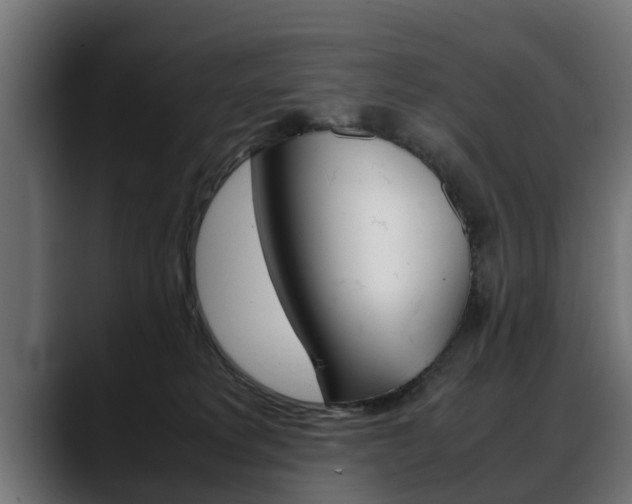 X0000088640229200705250925