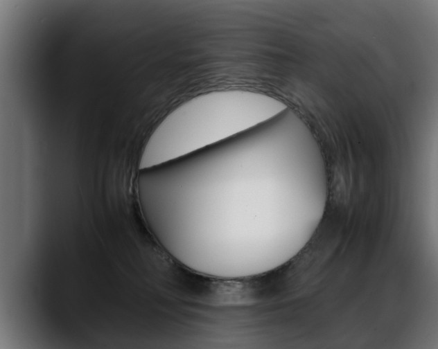 X0000088640230200705250925