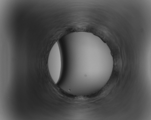 X0000088640231200705250925