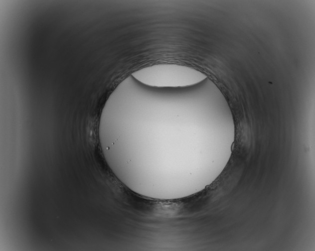 X0000088640234200705250925