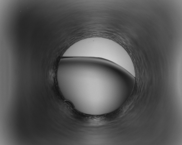 X0000088640235200705250925