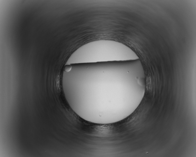 X0000088640238200705250925