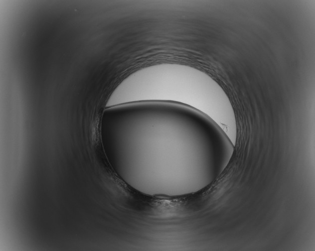 X0000088640239200705250925