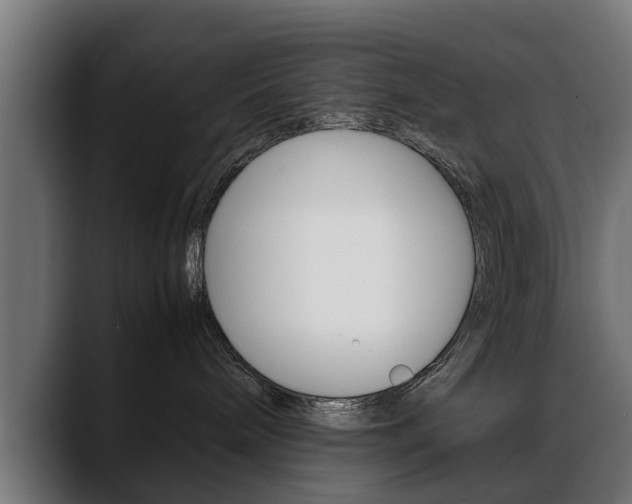 X0000088640240200705250925