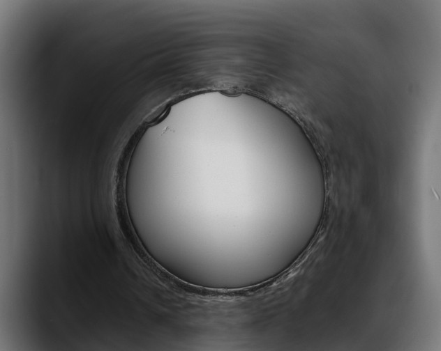 X0000088640242200705250924