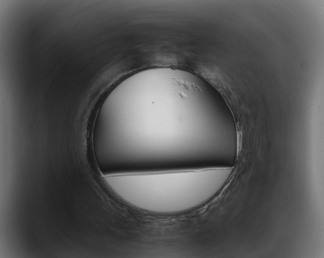 X0000088640243200705250924