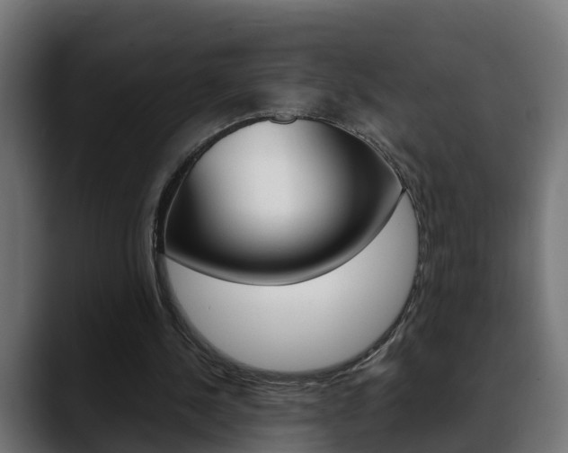 X0000088640244200705250924