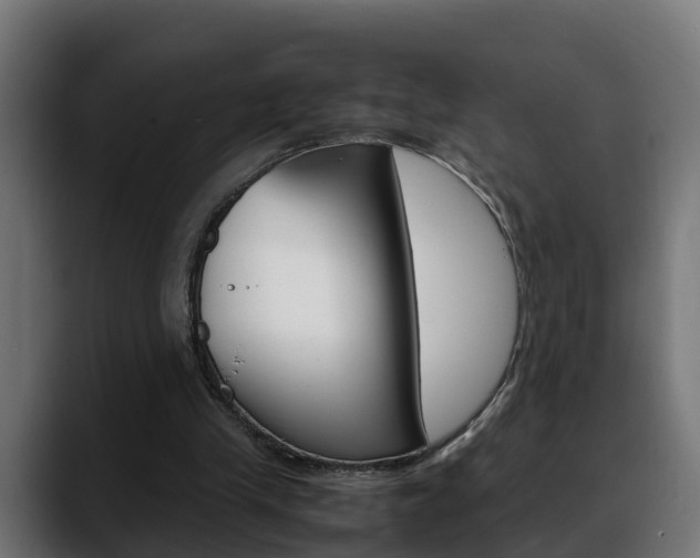 X0000088640245200705250924